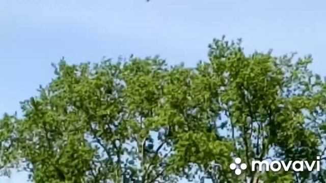 3 день нашего отдыха#летаем,играем#едим домой#