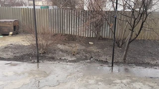 26 марта 2025г. дождь