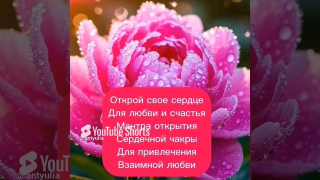 пиши в комментариях принимаю и благодарю❤️, сохраняй, подпишись привлечение взаимной любви, открой❤️