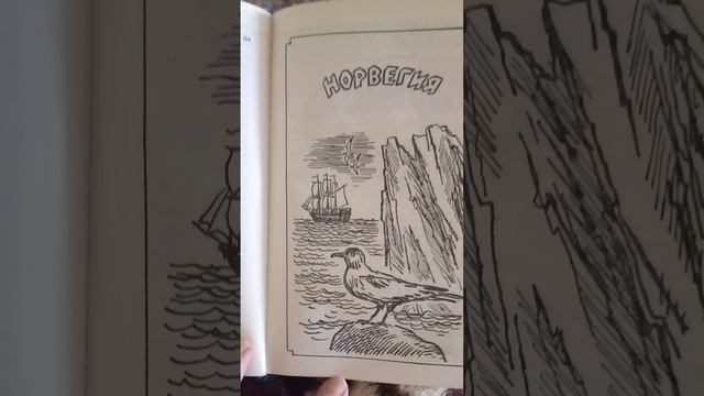 VID_20250326_143917