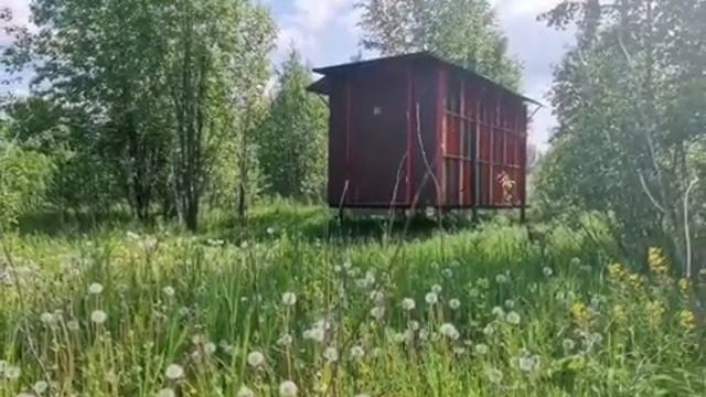 Грантовая поддержка