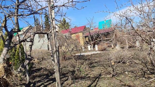 Первая вылазка в сад. Что произошло зимой?
