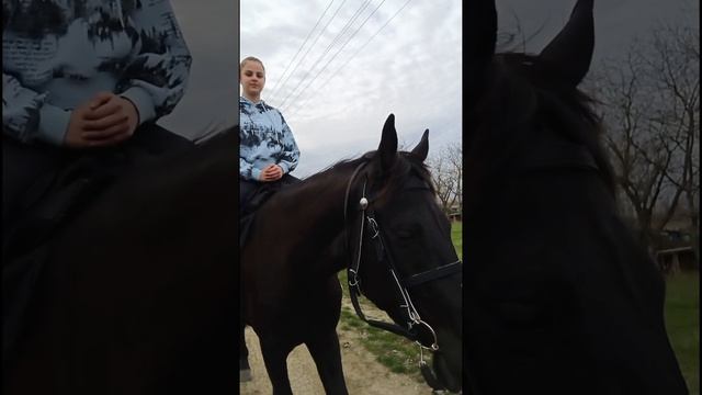 Весенние катания на лошади!