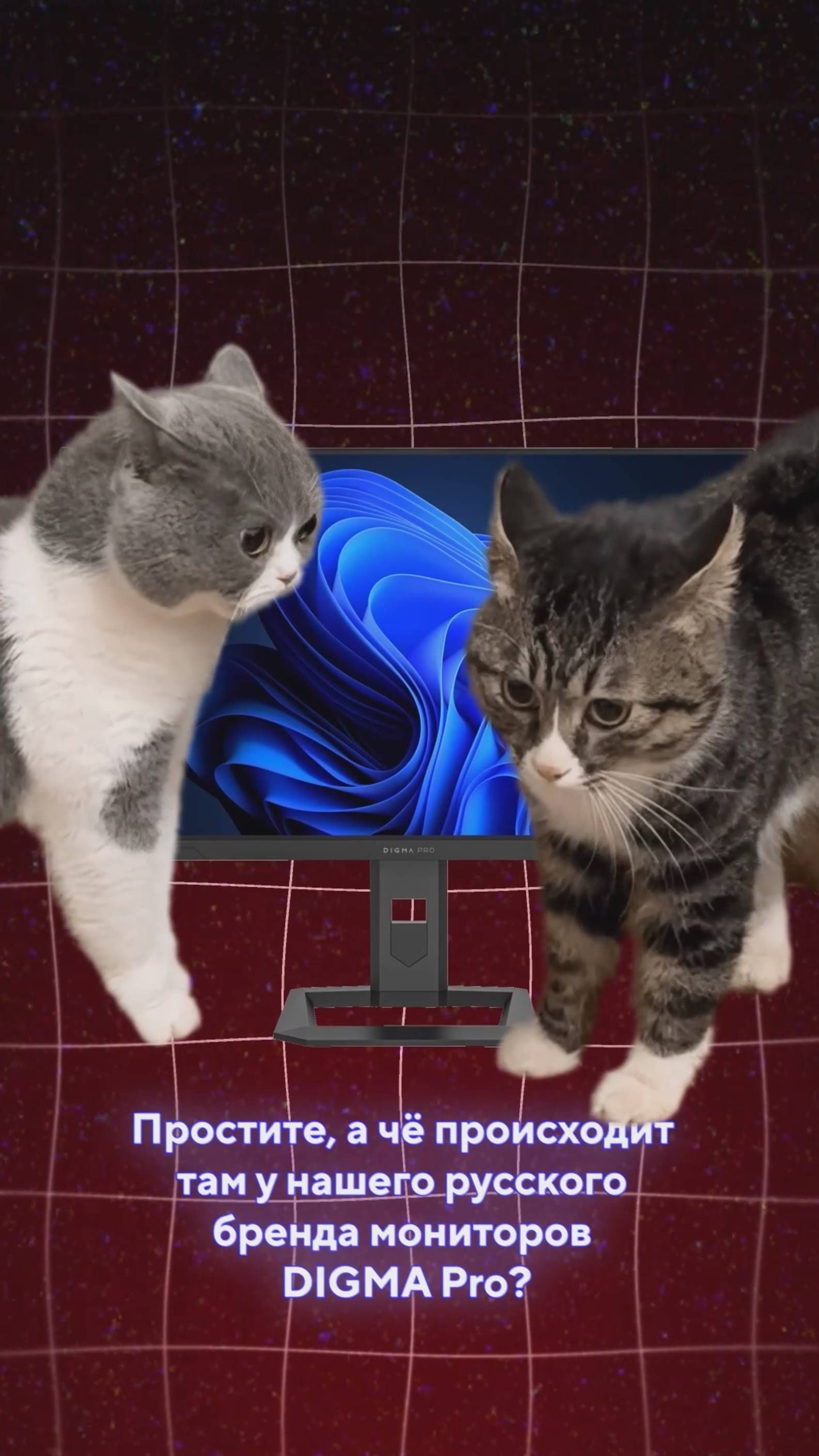 Что происходит с линейкой Vison у DIGMA Pro ❓