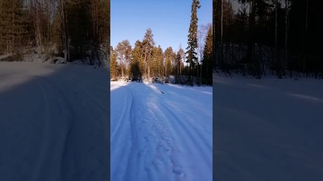 Выход за налимом 07.03.2025 года. Природа Севера. Отдыхаем на свежем воздухе с подругой.