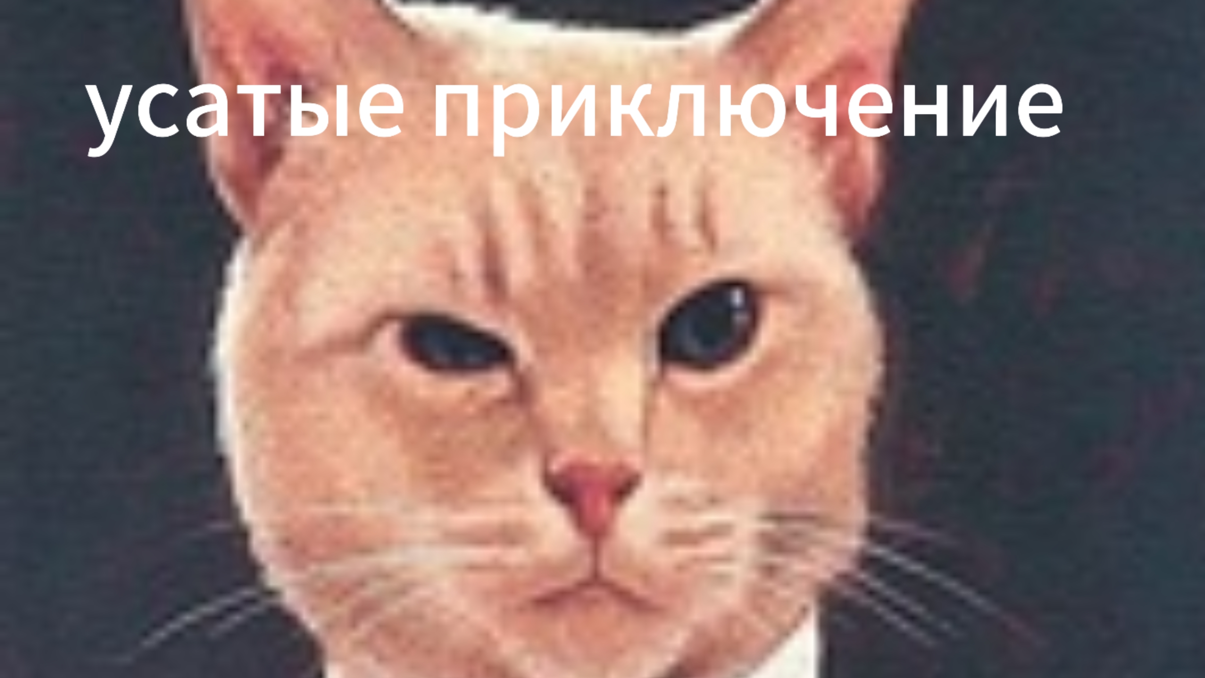 усатые приключение в бравл