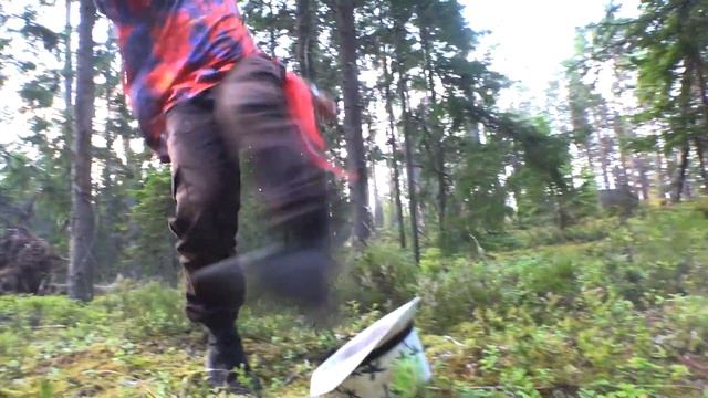 Be forest, my friend