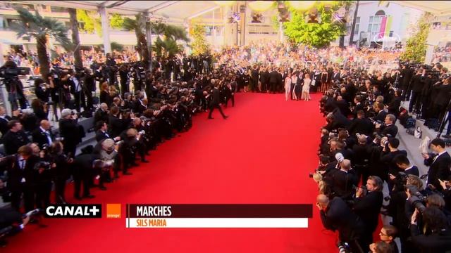 Cannes 2014 - CLOUDS OF SILS MARIA : Best of Red Carpet