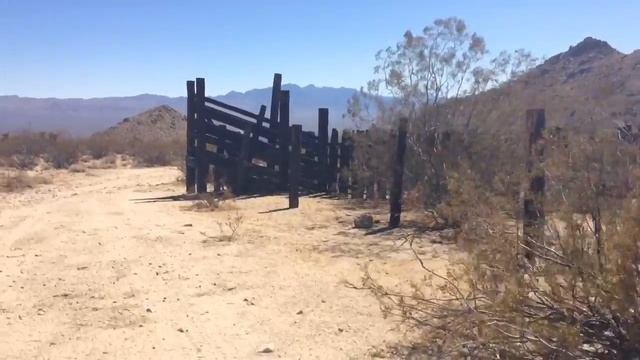 Yins off-road Mohave desert 8