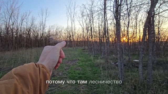 apple2603.mp4