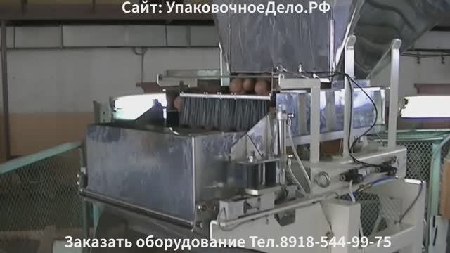 Дозатор весовой 1-50кг фасовка картофеля кусковых, мелкоштучных продуктов