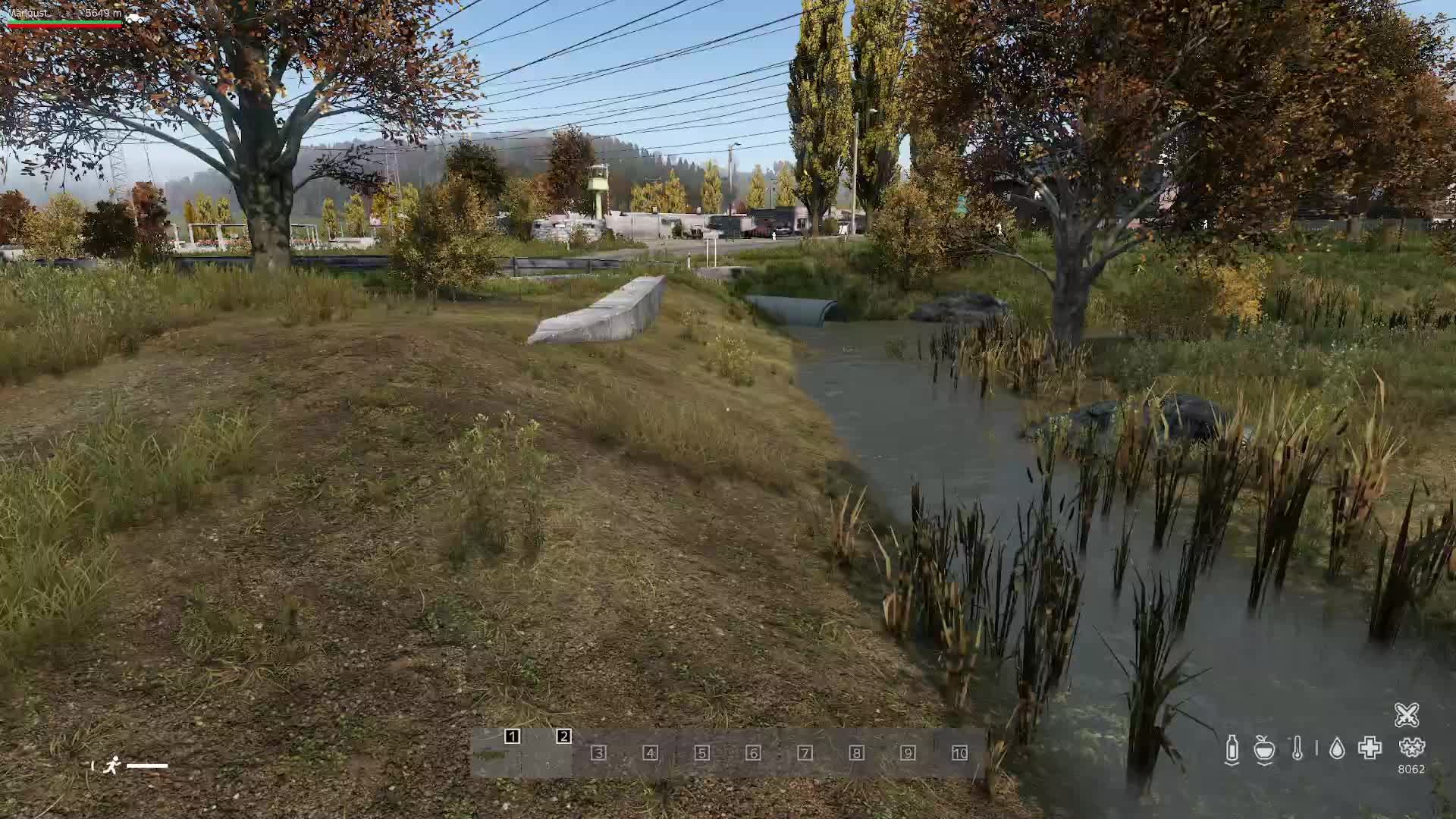 Dayz