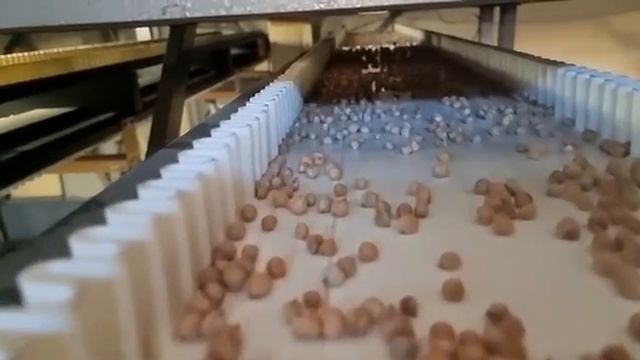 Ленточный фотосепаратор AMD/Sortdek