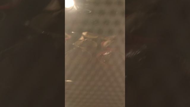 lv_0_20250326213440.mp4