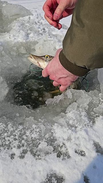Зимняя Рыбалка на Щуку