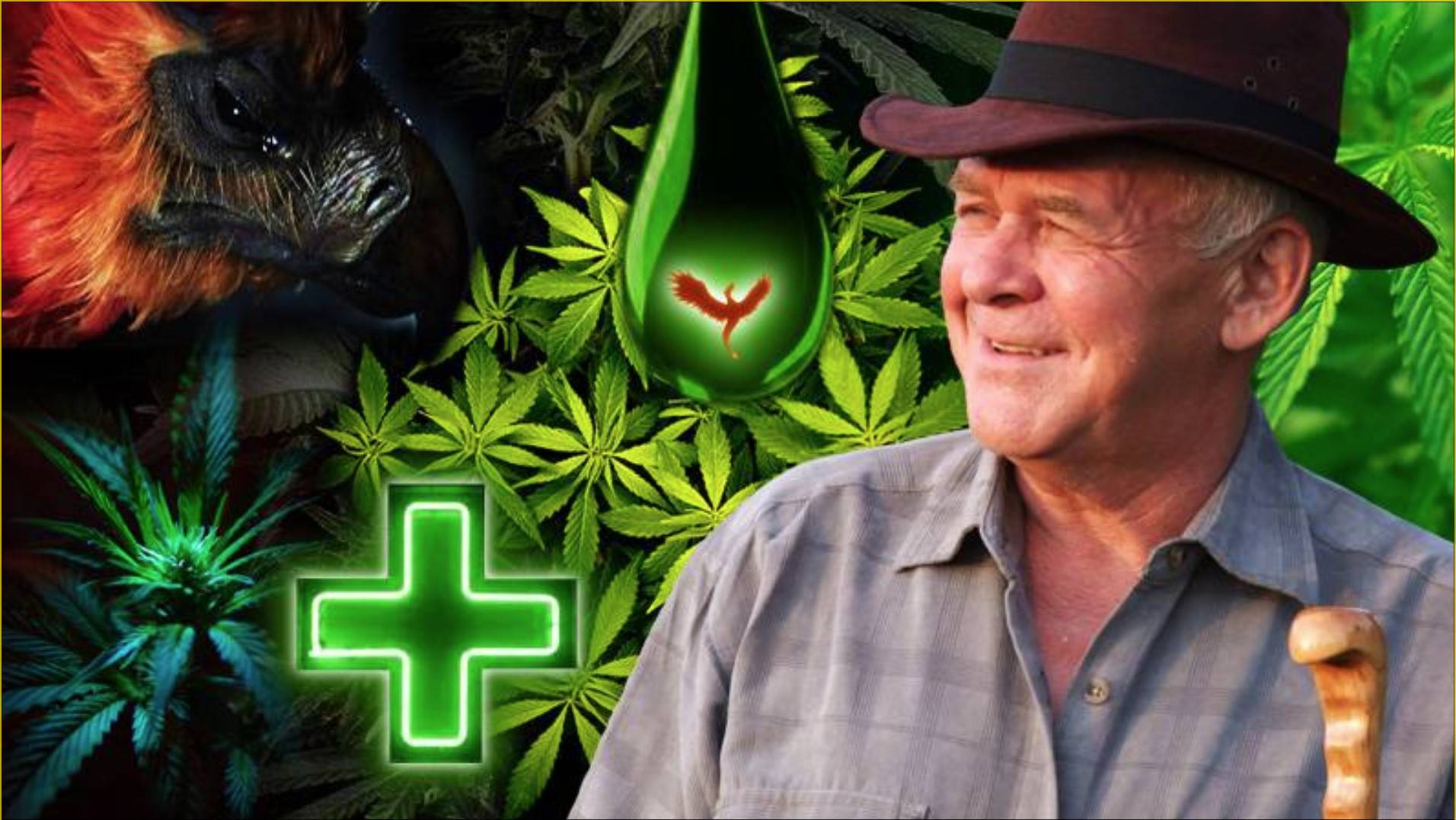 Средство от Рака с CBD маслом. Интервью с Риком Симпсоном