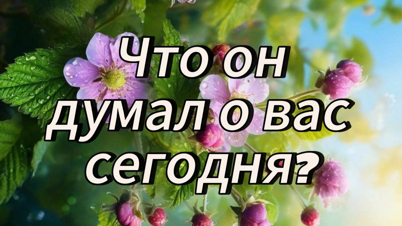 Что он думал о вас сегодня?