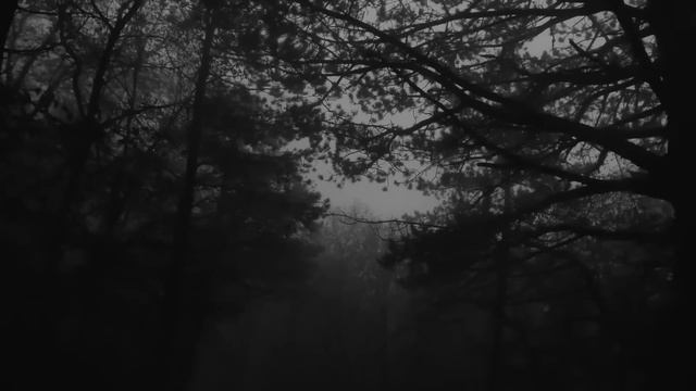 КАЙСЫН 1 ЧАСТЬ | У.Лобаева | Ужасы леса | Страшные истории про деревню | Мистика
