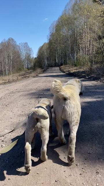 8 мая 2022 год