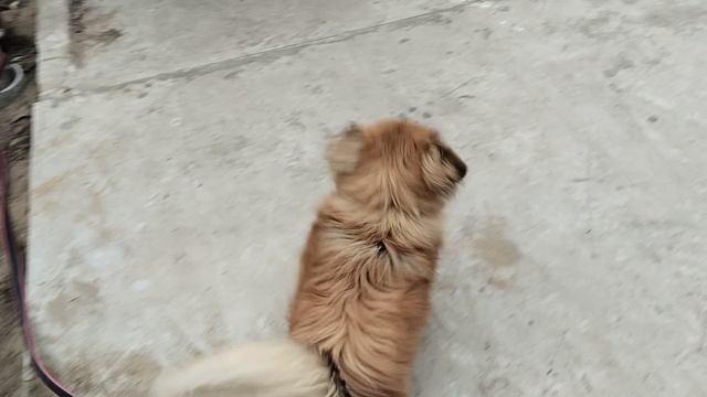 1000049011.mp4