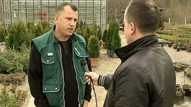 Individualna proizvodnja sadnica za posumljavanje – 21 03 2011