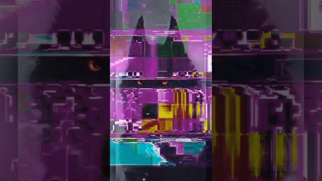 1000061897.mp4