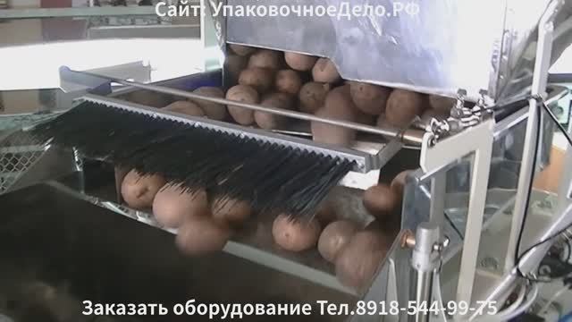 Весовой дозатор 1-50 кг фасовка картофеля, сыпучих кусковых и штучных продуктов в готовую тару