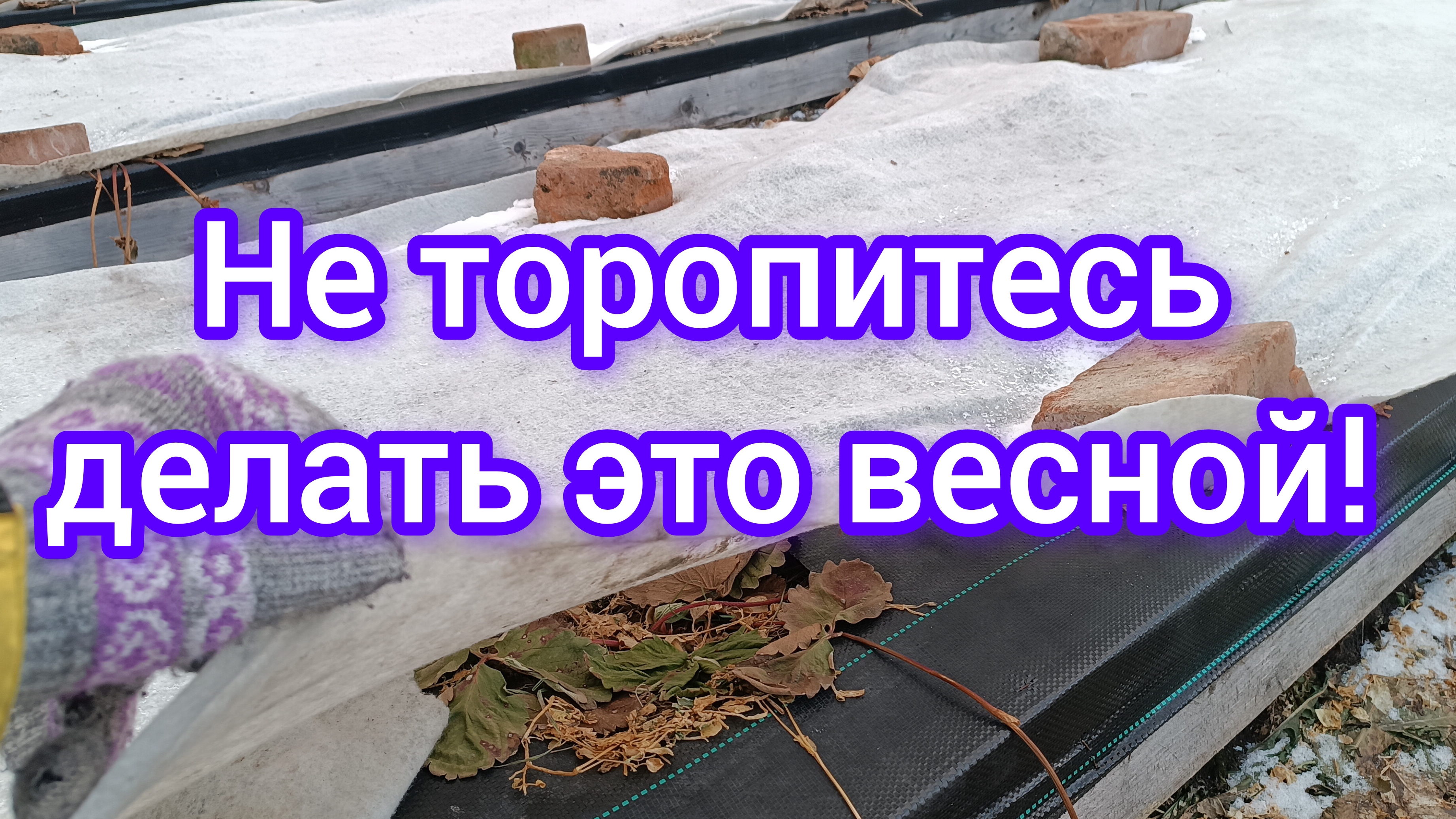 Не торопитесь делать это весной!