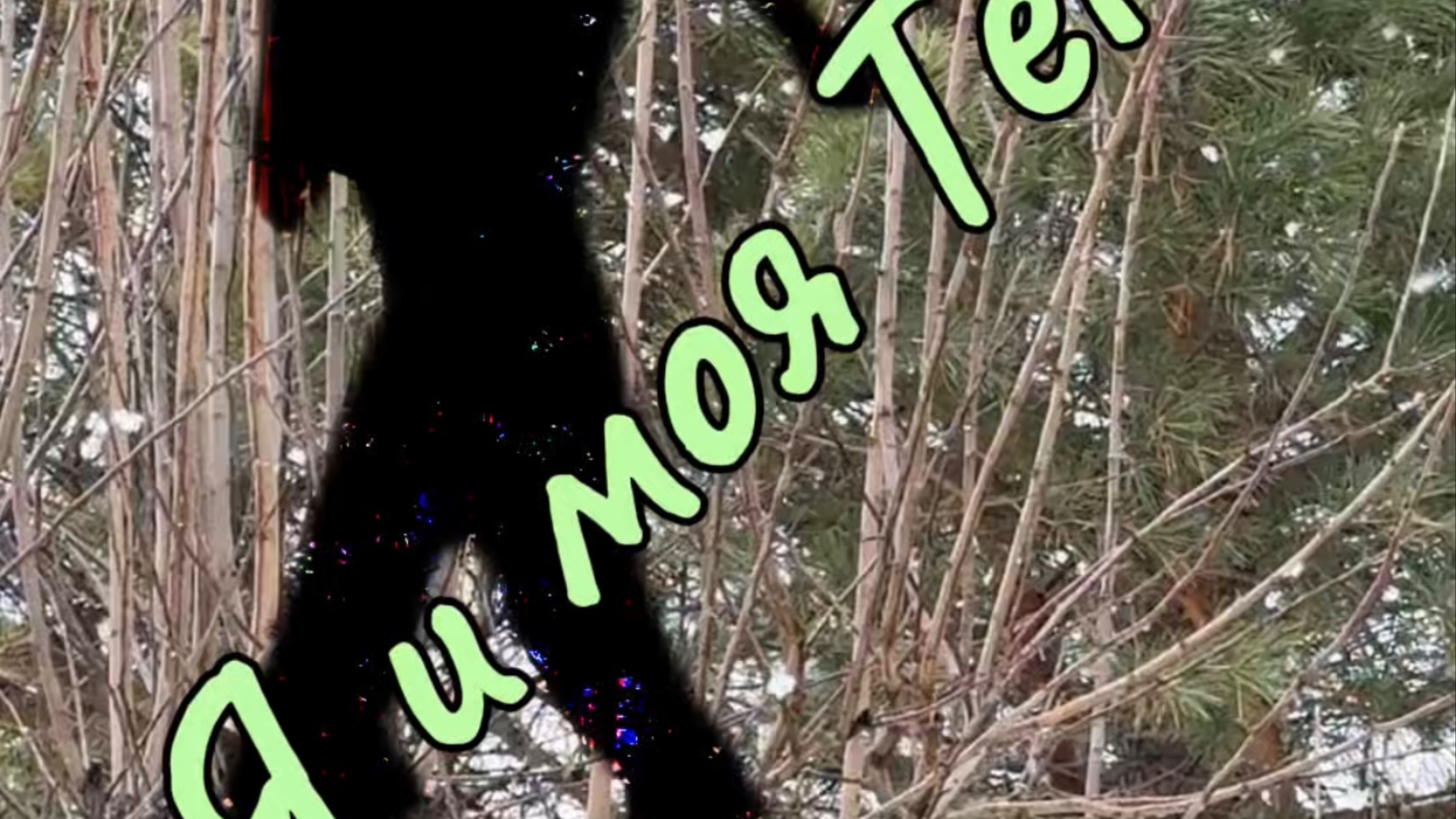 Я и моя Тень