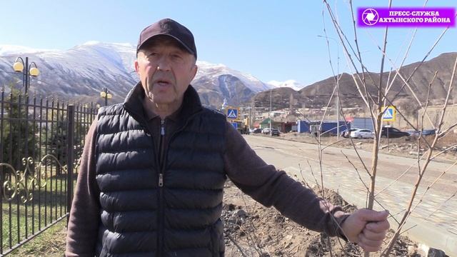 Акция "Сад памяти" прошла в Ахтынском районе.
2025 год.