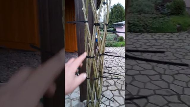 Пальма из лозы декор💥