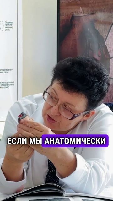 Профилактика сердечно-сосудистых заболеваний- роль диафрагмы и других органов-video-export-2025-03-2