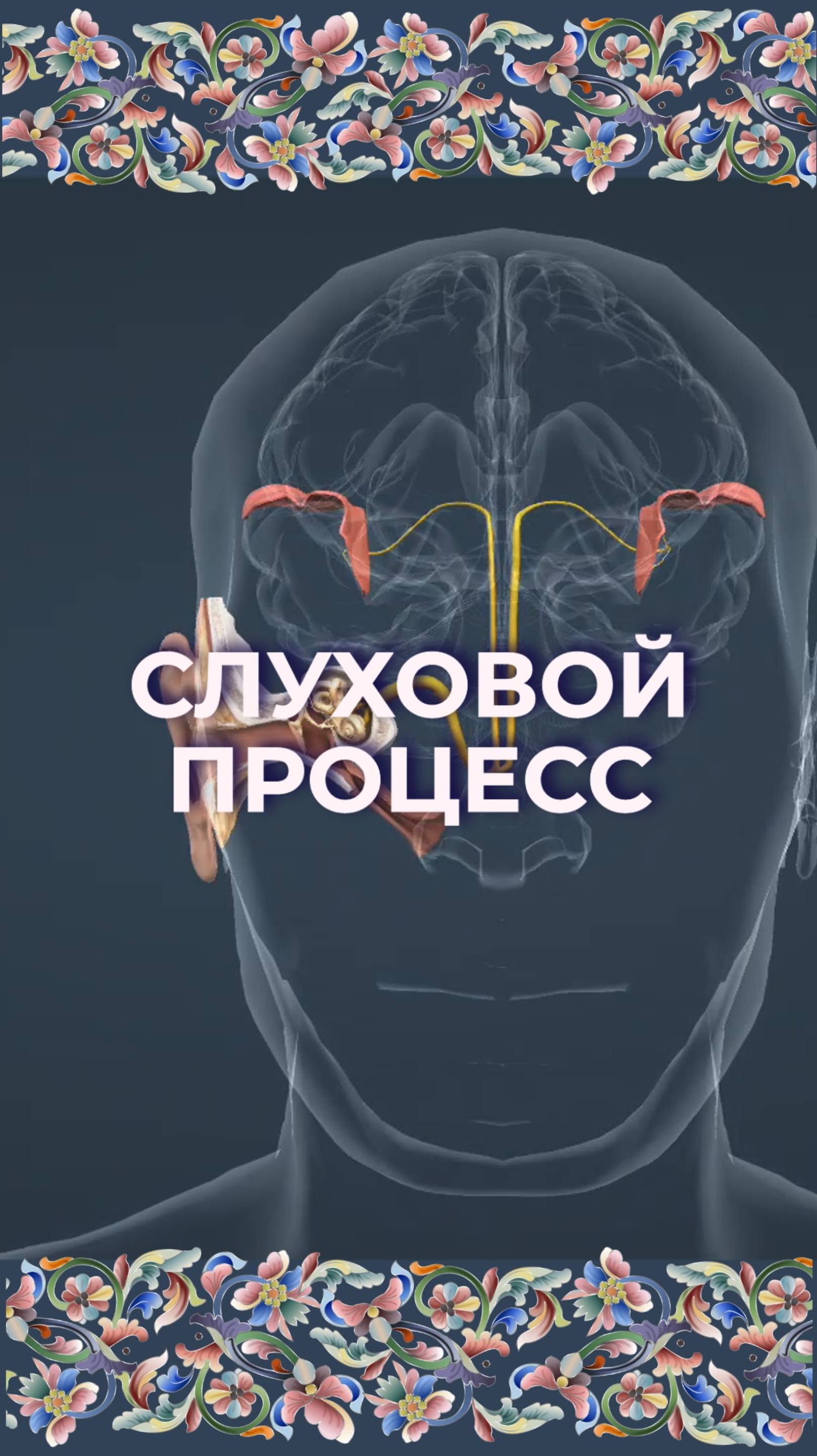 Как мы слышим