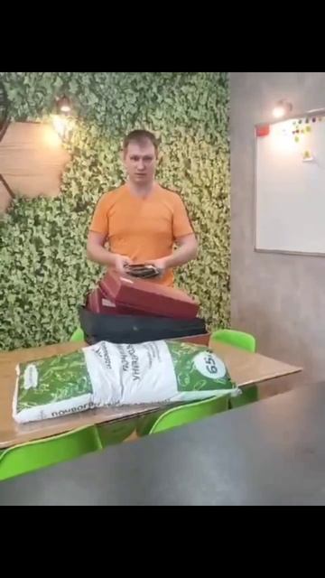 Рассада