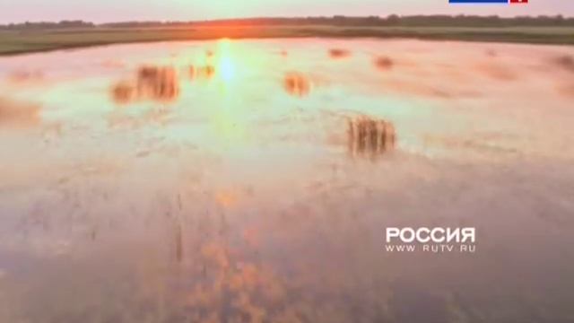 Технические неполадки (Россия-1, 30.08.2015)