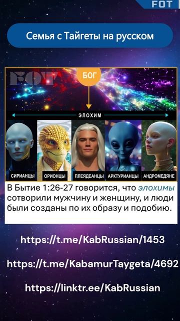 Элохим