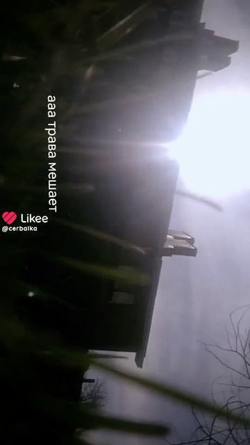 видос из лайка