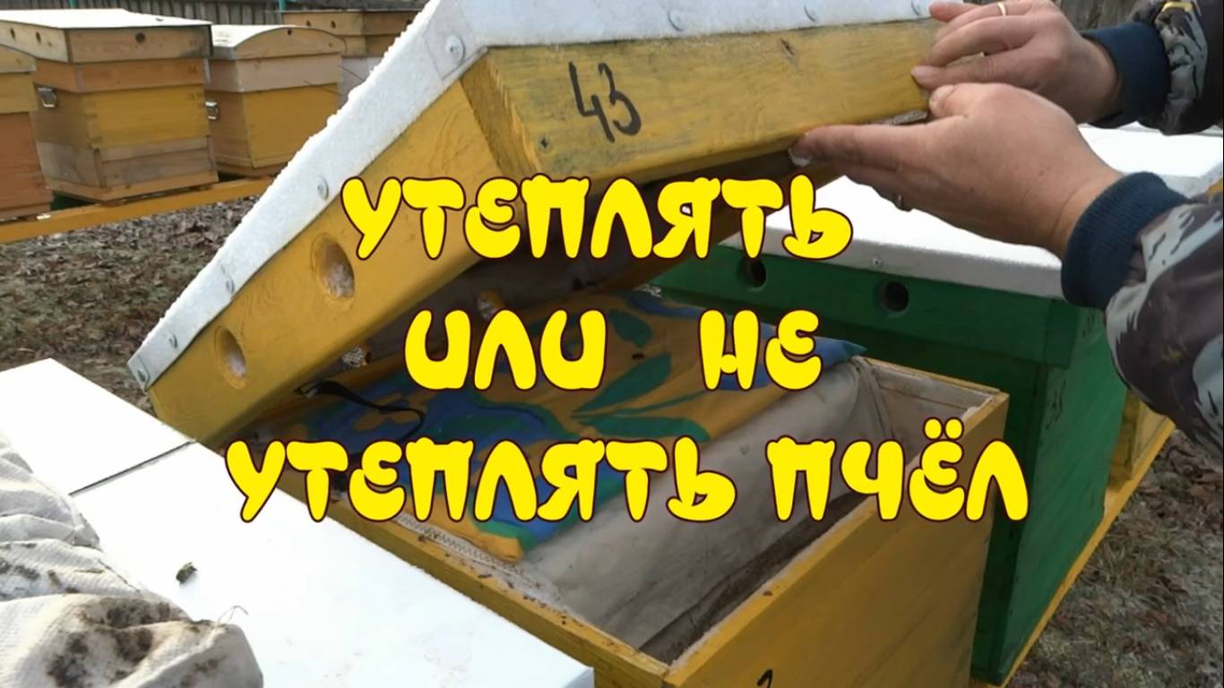 УТЕПЛЯТЬ ИЛИ НЕ УТЕПЛЯТЬ ПЧЁЛ