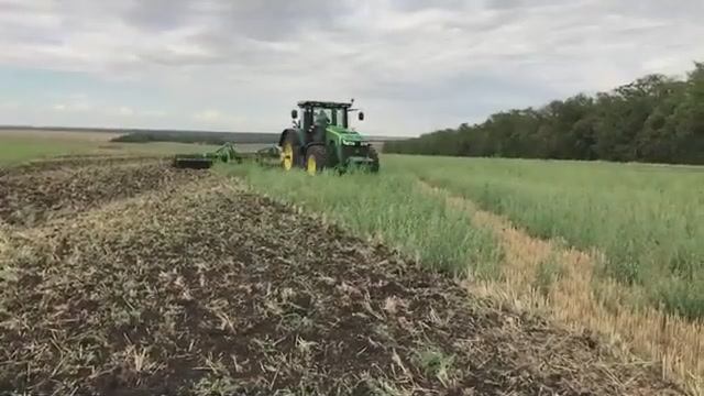 Борона дисковая КДК-9  от завода ЗиММаш в работе.