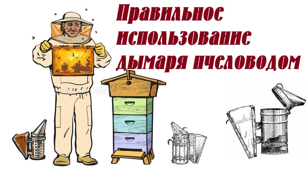 Правильное использование дымаря пчеловодом
