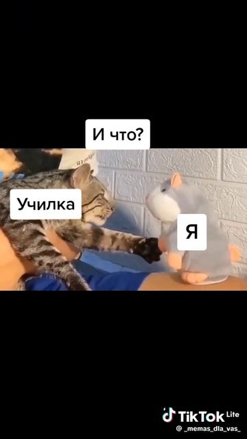 жиза