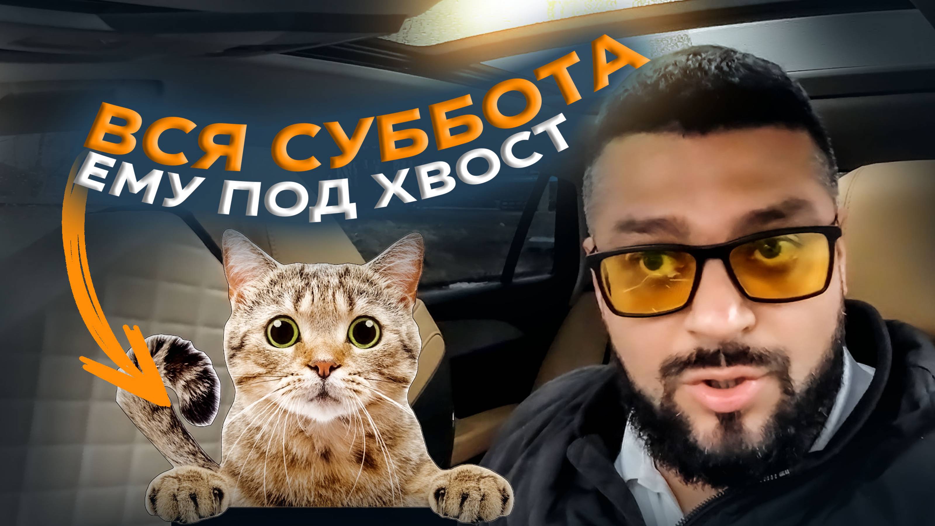 Вся суббота КОТУ под ХВОСТ / Яндекс GO