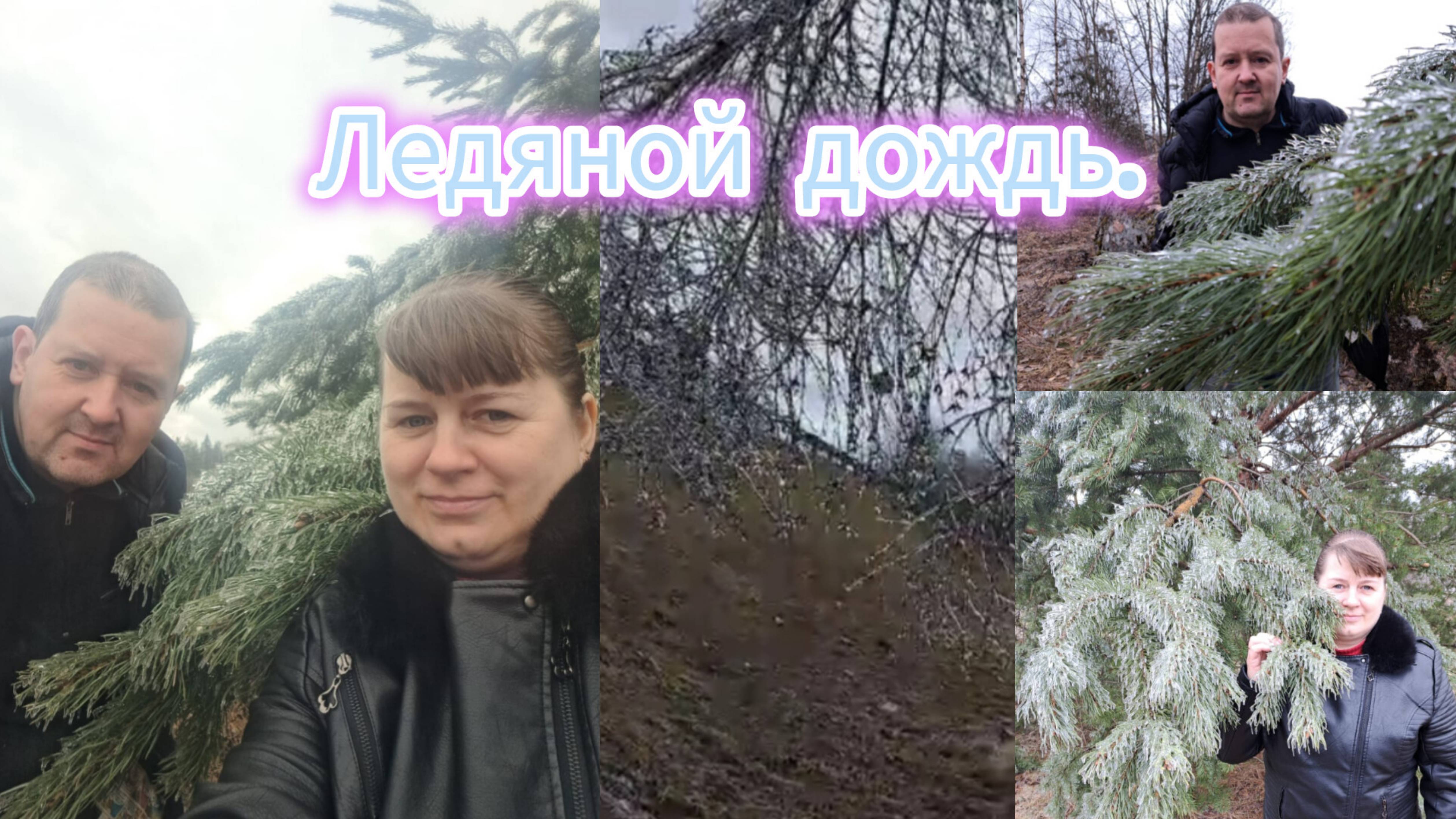 5.04.2024 Ледяная сказка.❄️Ледяная глазурь.🌨Что выращивает сестра...🌾
