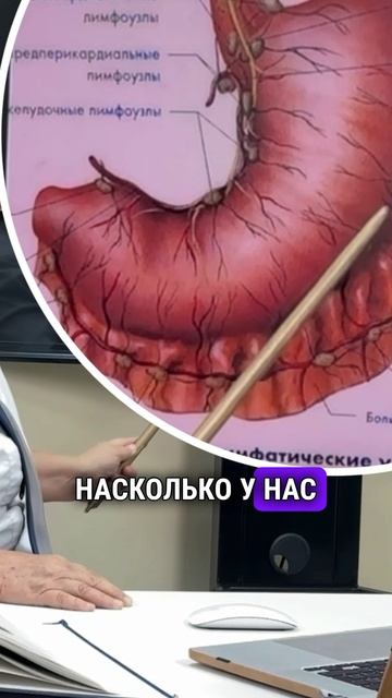 Роль иммунной системы в лечении кандидоза желудочно-кишечного тракта-video-export-2025-03-21T13-48-2