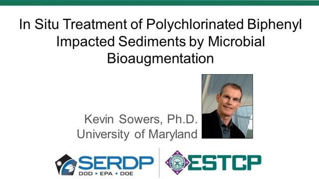 Assessment and Treatment of Contaminated Sediments