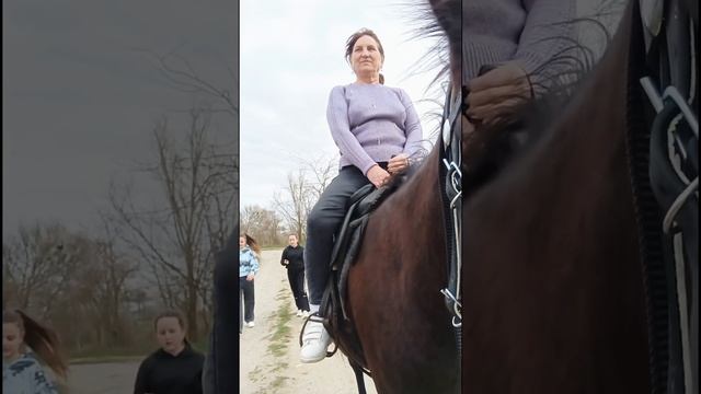 Верхом на лошади! Катаем гостей!