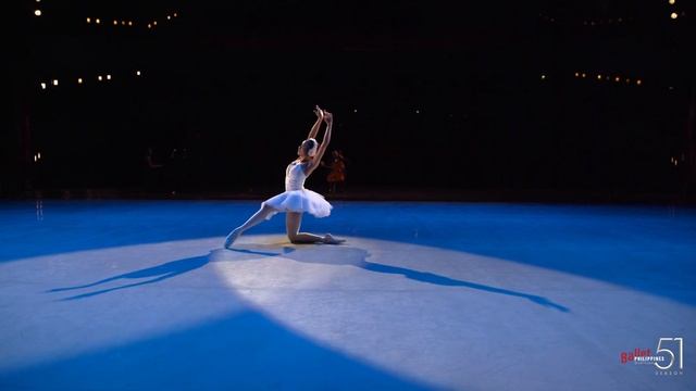 THE DYING SWAN