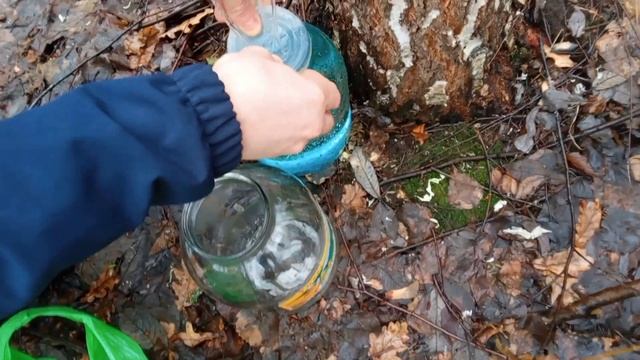 Сбор удался 26.03.2025 год Мордовия