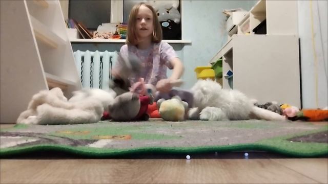 мяу пошли гулять