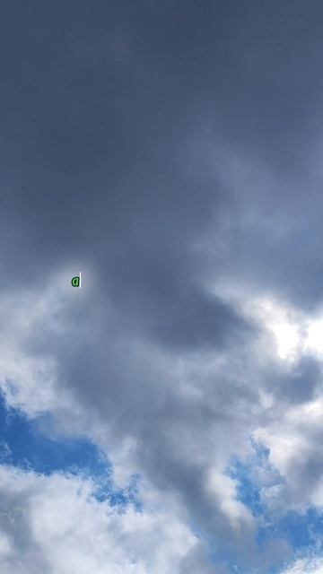 Свобода не в том